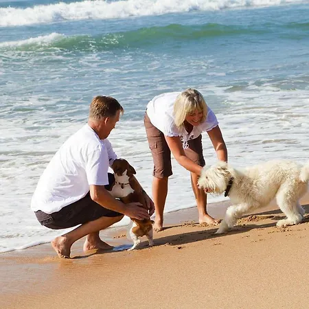 In Der Strandstrasse - Dos05084-dyb Appartamento *